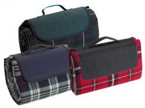 cool bag and picnic rug