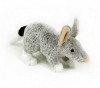 Promotional Plush Bilby Toy - Soft Cuddly Promo Toys - Bongo