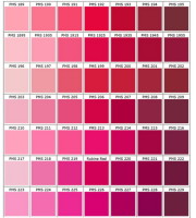 PMS Colour Chart - A Guide to Printed Colour Matching - Bongo