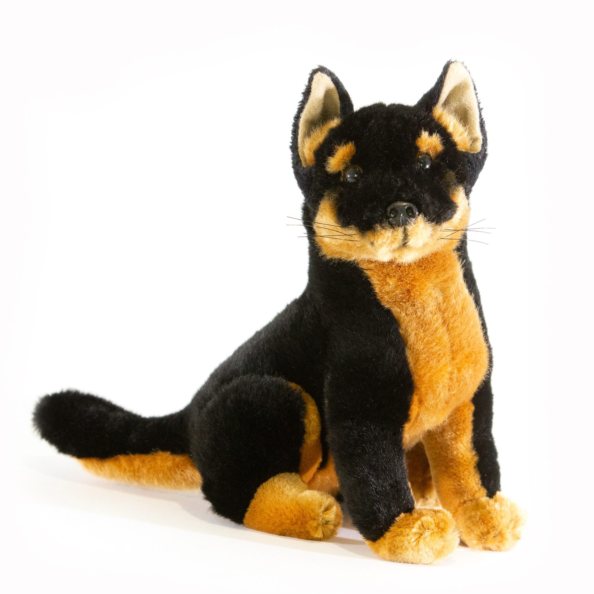 Promotional Zorro – Black and Tan Australian Dingo - Bongo